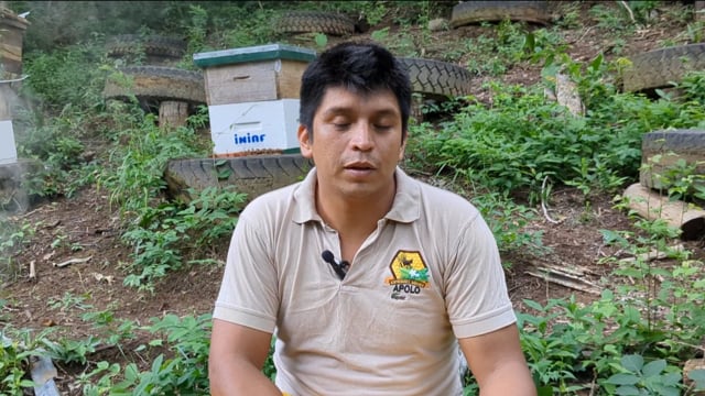 Beekeeping in Madidi