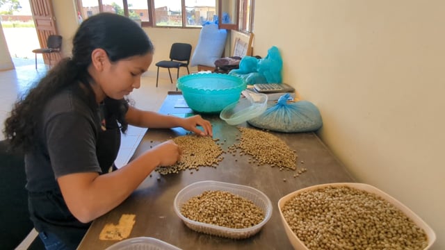 Apolo Coffee Producers Association (APCA)
