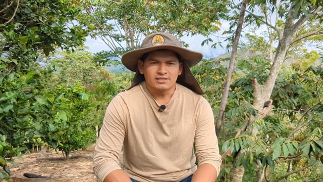 Meliponiculture in Madidi PN ANMI