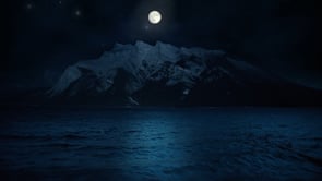 social header