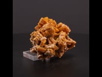 70365 - Wulfenite