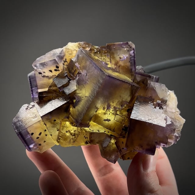 Fluorite with Chalcopyrite and Baryte inclusions