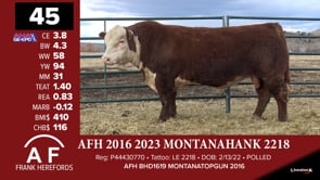 Lot #45 - *** OUT *** AFH 2016 2023 MONANAHANK 2218