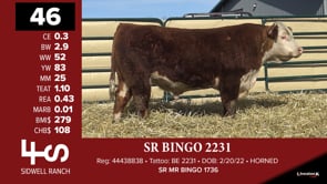 Lot #46 - SR BINGO 2231