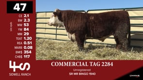 Lot #47 - COMMERCIAL TAG 2284
