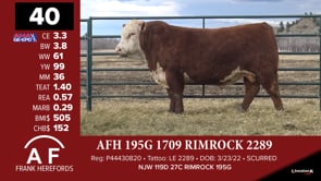 Lot #40 - AFH 195G 1709 RIMROCK 2289