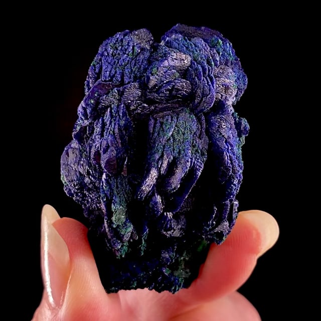 Azurite (''rose'') with Malachite