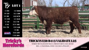 Lot #1 - TRICKYS E50 B413 VALIDATE L25
