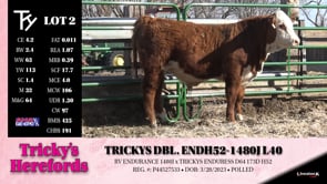 Lot #2 - TRICKYS DBL. ENDH52-1480J L40