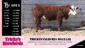 Lot #3 - TRICKYS VALID H51-B413 L42