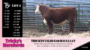 Lot #4 - TRICKYS VALID E40 B413 L117