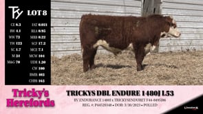 Lot #8 - TRICKYS DBL ENDURE 1480J L53
