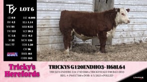 Lot #6 - TRICKYS G120ENDH03- H68L64