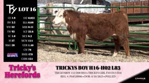 Lot #16 - TRICKYS BOY H16-H02 L83