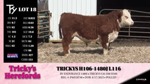 Lot #18 - TRICKKYS H106-1480J L116