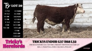 Lot #20 - TRICKYS ENDUR G37 H68 L32