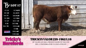 Lot #17 - TRICKYS VALOR J39-1962 L10