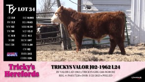 Lot #34 - TRICKYS VALOR J02-1962 L24