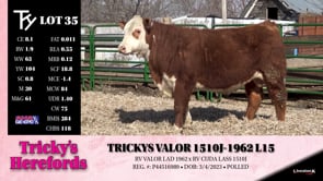 Lot #35 - TRICKYS VALOR 1510J-1962 L15