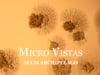 MICRO VISTAS: Alum Archipelago