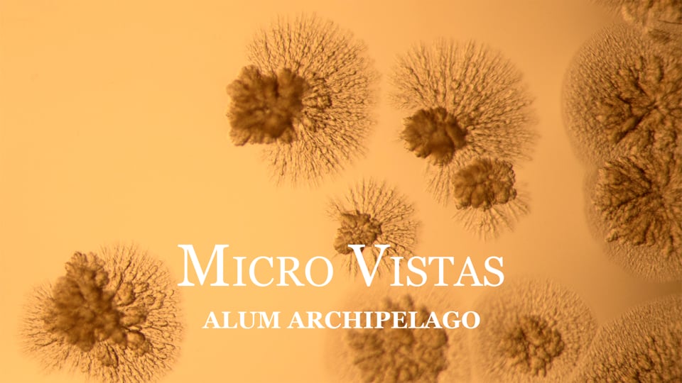 MICRO VISTAS: Alum Archipelago