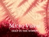 MICRO VISTAS: Deep In The Woods