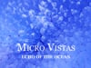 MICRO VISTAS: Echo Of The Ocean