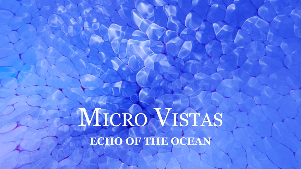 MICRO VISTAS: Echo Of The Ocean