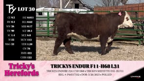 Lot #30 - TRICKYS ENDUR F11-H68 L31