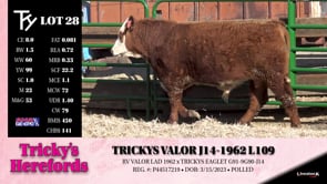 Lot #28 - TRICKYS VALOR J14-1962 L109