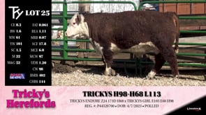 Lot #25 - TRICKYS H98-H68 L113