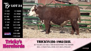 Lot #24 - TRICKYS J56-1962 J25L