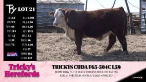 Lot #21 - TRICKYS CUDA F65-504C L59