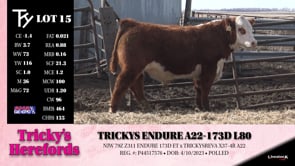 Lot #15 - TRICKYS ENDURE A22-173D L80