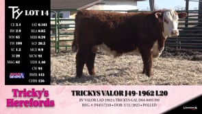 Lot #14 - TRICKYS VALOR J49-1962 L20