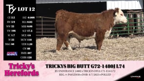 Lot #12 - TRICKYS BIG BUTT G72-1480J L74