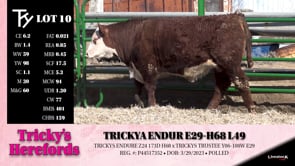 Lot #10 - TRICKYA ENDUR E29-H68 L49