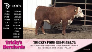 Lot #7 - TRICKYS FORE G59 F158 L73