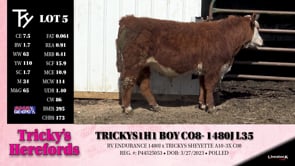 Lot #5 - TRICKYS1H1 BOY C0I- 1480J L35