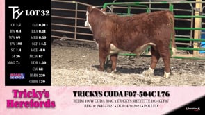 Lot #32 - TRICKYS CUDA F07-504C L76