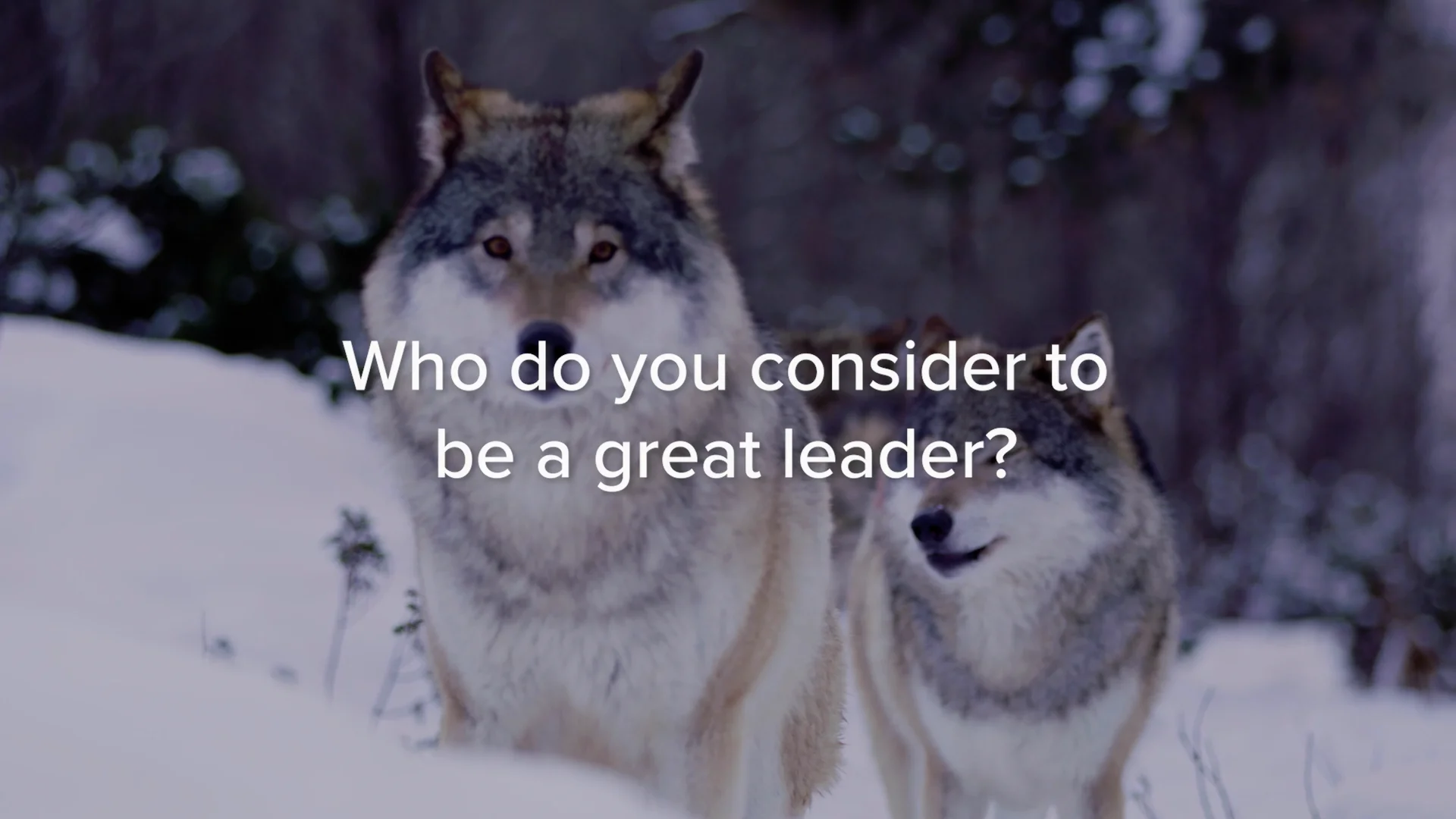 Five Traits of Successful Leaders Montage