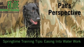 Springtime Training Tips: Easing Into Water Work