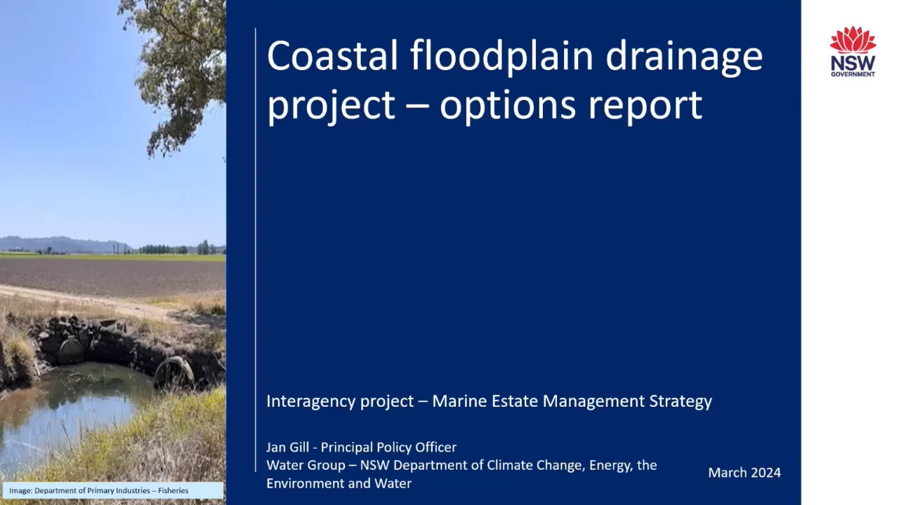 What Is A Coastal Floodplain