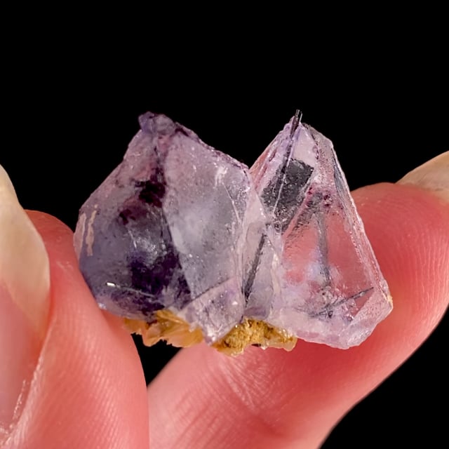Fluorite with Schorl inclusions