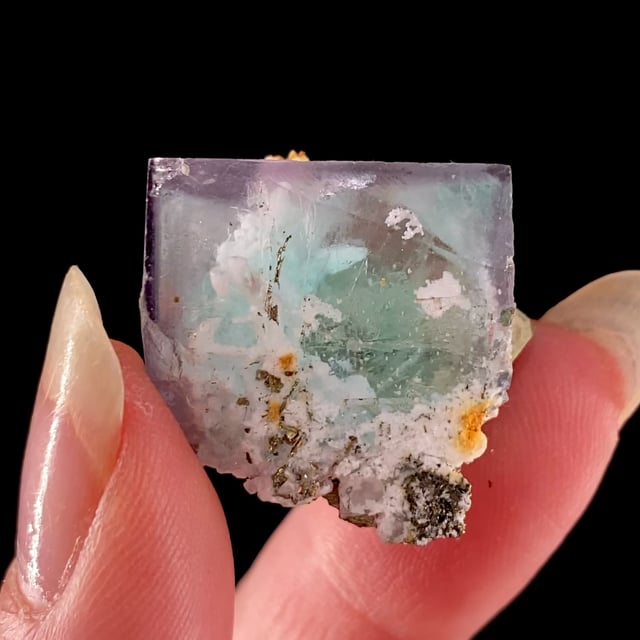 Fluorite (bi-colored crystal) with Pyrite