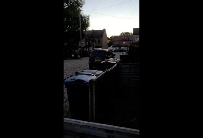 Video 1: