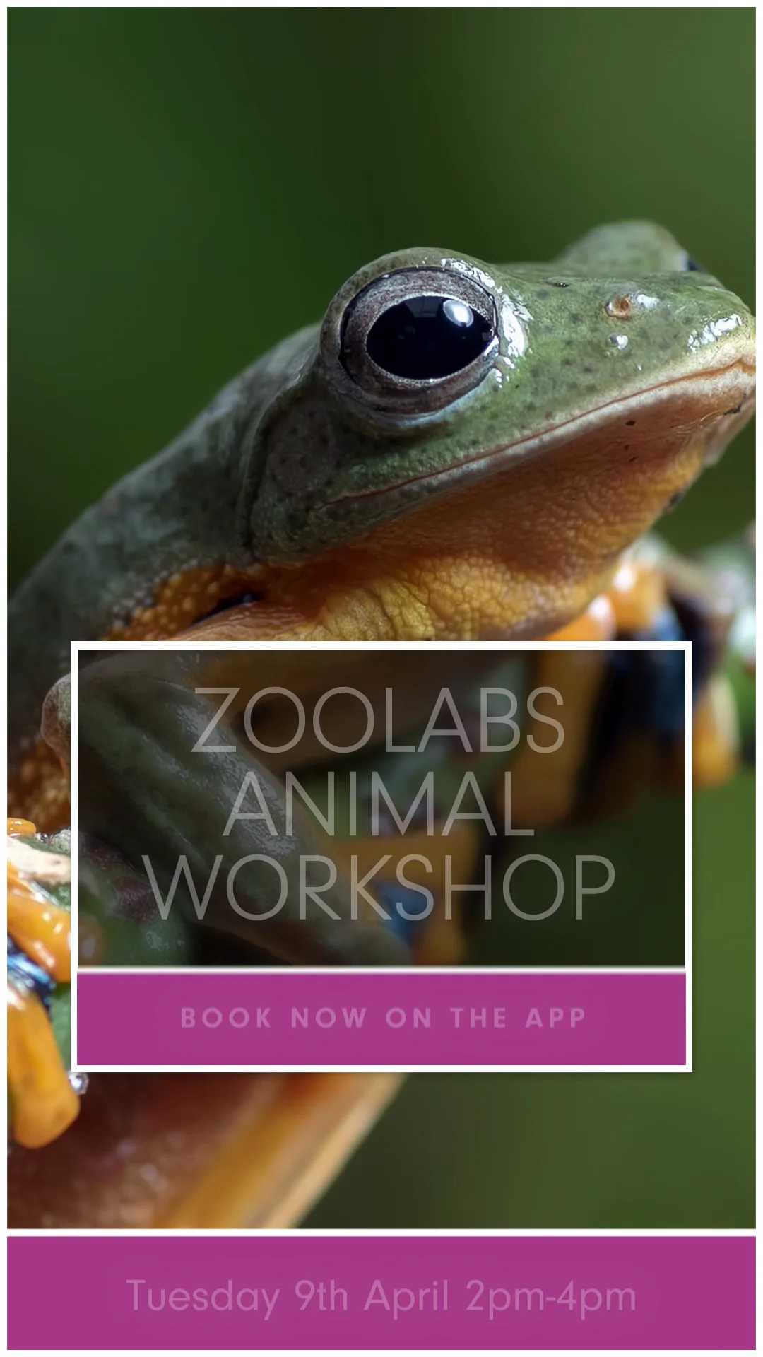 2024-04-Woking-1-Event-Zoolab-App on Vimeo