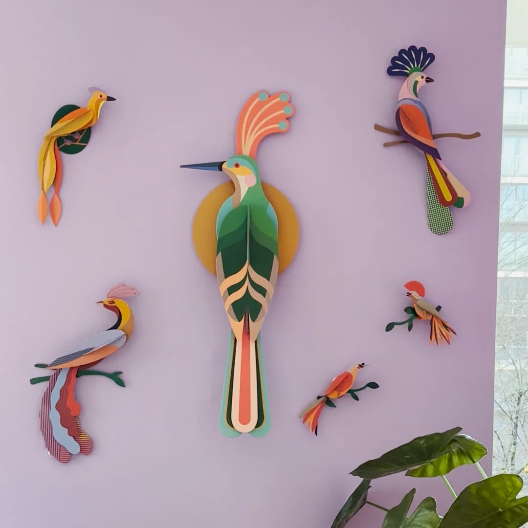 Paradise Bird, Obi - Studio ROOF