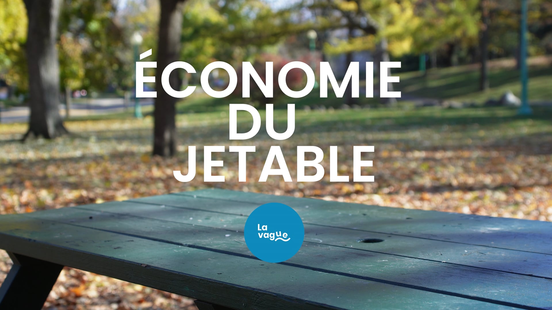 La vague  ∣ Économie du jetable ∣ 2024