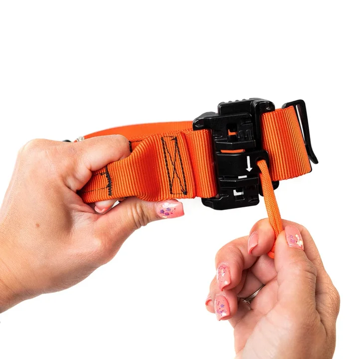 40mm SAR K9 Dog Collar | Conor's Adventure